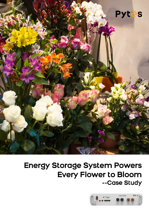 Energy Storage System Powers Every Flower to Bloom
