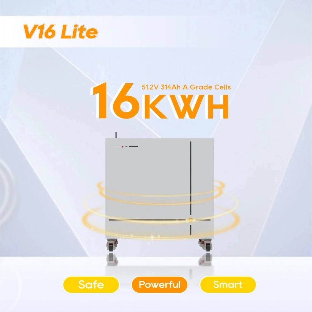 Safety Design of Pytes V16 and V16 Lite: Different Protection Features for Different Applications