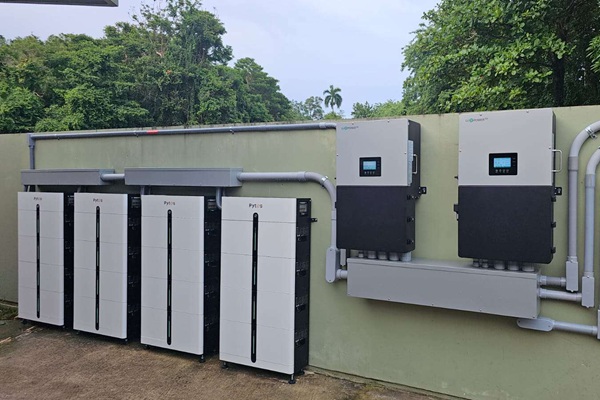 1761792793520590.jpg Pi LV1-2.jpg